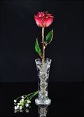 Gold Trimmed Rose in Pink/Burgundy with Bud Vase