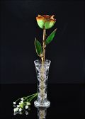 Gold Trimmed Peridot Orange Rose with Bud Vase