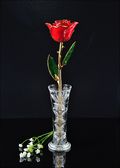 Gold Trimmed Rose in Red with Bud Vase