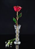 Gold Trimmed Ruby Sun Rose with Bud Vase