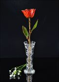 Gold Trimmed Rose in Root Beer in Bud Vase