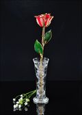 Gold Trimmed Peppermint Rose with Bud Vase
