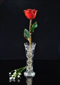 Gold Trimmed Rose in Sonia Pearl with Bud Vase
