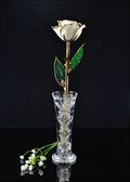 Gold Trimmed Rose in White Satin with Bud Vase