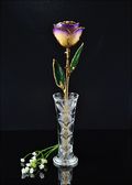 Gold Trimmed Rose in White/Blue Opal with Bud Vase