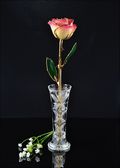 Gold Trimmed Rose in White/Pink with Bud Vase