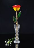 Gold Trimmed Yellow/Red Rose with Bud Vase