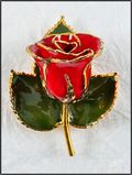 Gold Trimmed Rose Bar Pin in Red