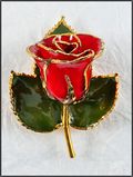 Gold Trimmed Rose Bar Pin in Red