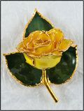 Gold Trimmed Rose Bar Pin in Yellow