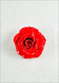 Medium Open Rose Blossom Pin in Red