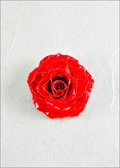 Medium Open Rose Blossom Pin in Red