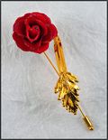 Natural Red Rose Pin w/Gold Fern