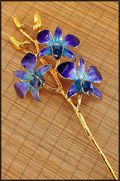 Gold Trimmed Dendrobium Orchid 3 Blossom Stem - Purple/Blue