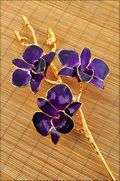 Gold Trimmed Dendrobium Orchid 3 Blossom Stem - Purple