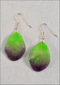 Natural Orchid Petal Earrings in Lilac/Green with Silver Plated Earrings