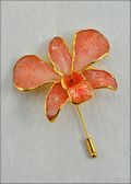 Gold Trimmed Dendrobium Orchid Pin - Orange