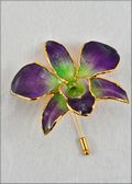 Gold Trimmed Dendrobium Orchid Pin - Purple/Green
