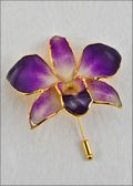 Gold Trimmed Dendrobium Orchid Pin - Purple/White