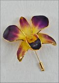 Gold Trimmed Dendrobium Orchid Pin - Purple/Yellow