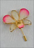 Gold Trimmed Dendrobium Orchid Pin - Pink Edge w/White Center