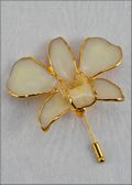 Gold Trimmed Dendrobium Orchid Pin - White