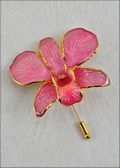 Gold Trimmed Dendrobium Orchid Pin - White/Pink