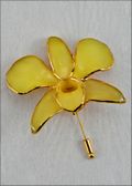 Gold Trimmed Dendrobium Orchid Pin - Yellow