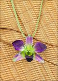 Natural Orchid Pendant in Purple/Green with Leather Cord