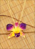Natural Orchid Pendant in Purple/Yellow with Leather Cord