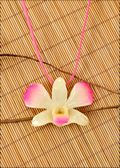 Natural Orchid Pendant with White Center and Pink Edges and Leather Cord