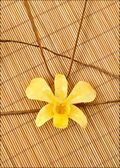 Natural Orchid Pendant in Yellow with Leather Cord