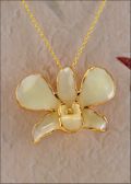 Gold Trimmed Orchid Pendant - White
