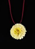 Aster Pendant in White with Yellow Center