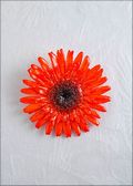Gerbera Daisy Pin in Orange