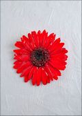 Gerbera Daisy Pin in Red