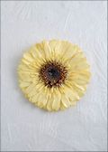 Gerbera Daisy Pin in White