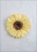 Gerbera Daisy Pin in White