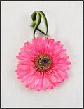 Gerbera Daisy Ornament in Pink