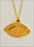 Ginkgo