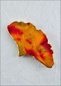 Gingko, Lacquered in Fall Multi Colors