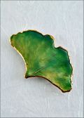 Gingko, Lacquered in Green