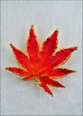 Japanese Maple, Lacquered in Burnt Orange