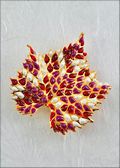 Red/Purple Grape Leaf Pin