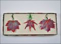 Custom Ornament Box - Set of 3 - Full Moon Maple, Japanese Maple and Sugar Maple