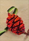 Sequoia Pine Cone Ornament - Iridescent