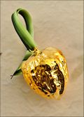 Real Walnut in 24K Gold Ornament