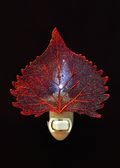 Real Cottonwood Leaf in Iridescent Nightlight