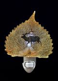 Elk or Deer Silhouette on Real 24K Gold Cottonwood Leaf Nightlight