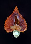 Cat Silhouette on Real Iridescent Cottonwood Leaf Nightlight